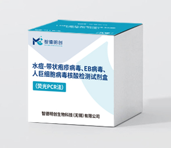 水痘-带状疱疹病毒、EB病毒、人巨细胞病毒核酸检测试剂盒（荧光PCR法）