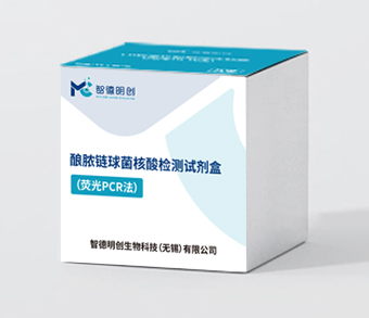 酿脓链球菌核酸检测试剂盒（荧光PCR法）