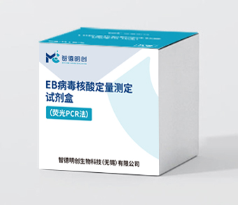 EB病毒核酸定量测定试剂盒（荧光PCR法）