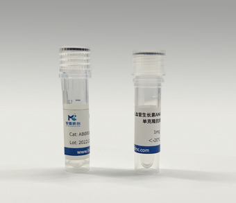 鼠抗人血管生长素ANG单克隆抗体