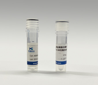 鼠抗人基质金属蛋白酶9（MMP-9）单克隆抗体