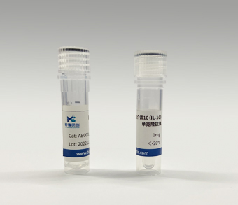 鼠抗人白介素10（IL-10）单克隆抗体