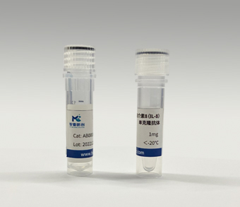 鼠抗人白介素8（IL-8）单克隆抗体