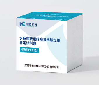 水痘带状疱疹病毒核酸定量测定试剂盒（荧光PCR法）